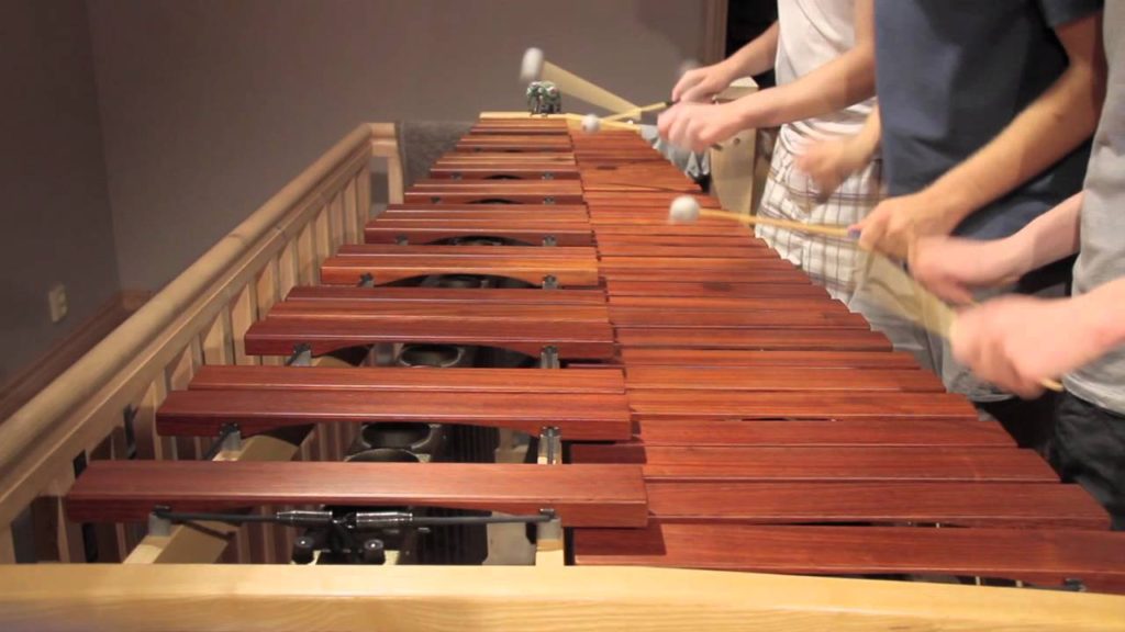 marimba player musician musical instrument sticks